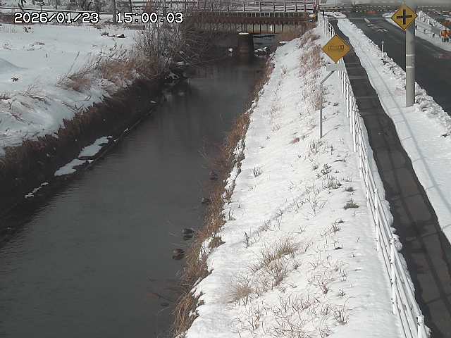 北条川１2026/01/24 1:50:00