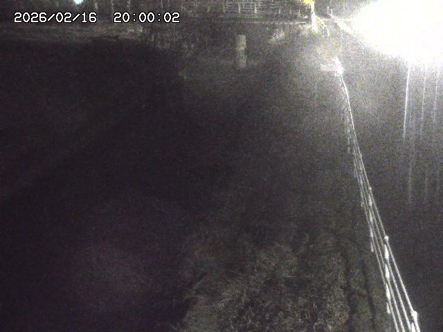 北条川１2026/02/17 18:20:00