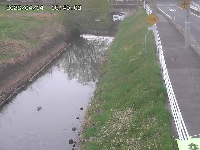 北条川１2026/04/14 17:00:00