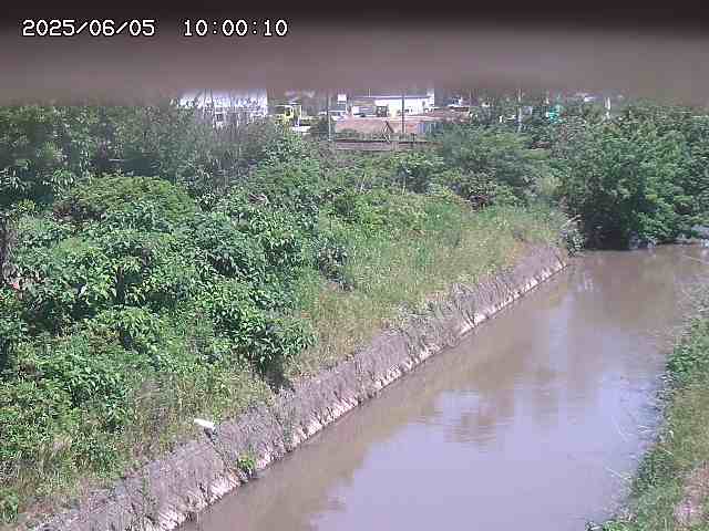 北条川１2025/06/06 1:10:00