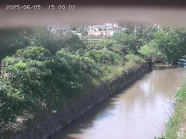 北条川１2025/06/06 1:10:00