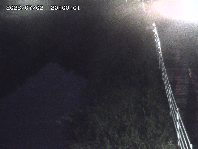 北条川１2026/07/03 8:30:00
