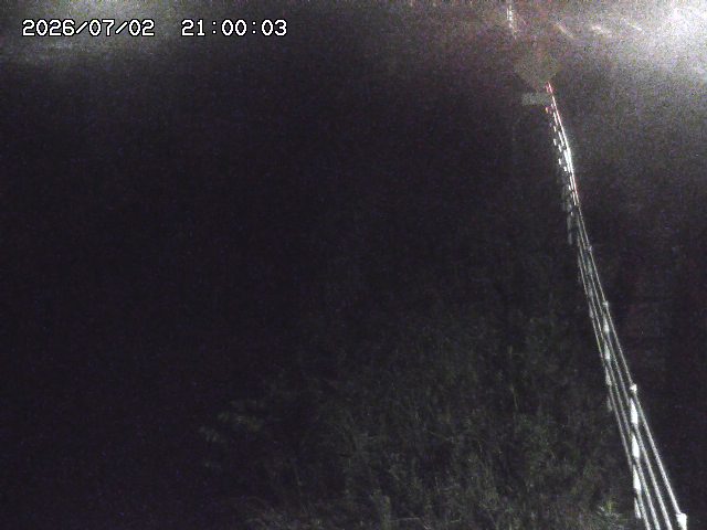 北条川１2026/07/03 8:30:00