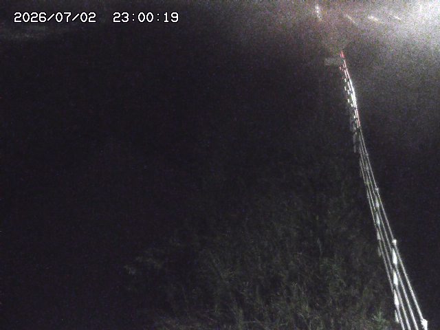 北条川１2026/07/03 8:30:00