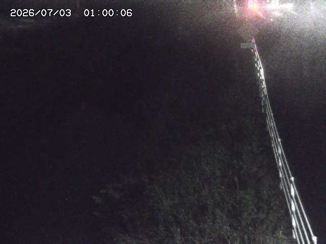 北条川１2026/07/03 8:30:00