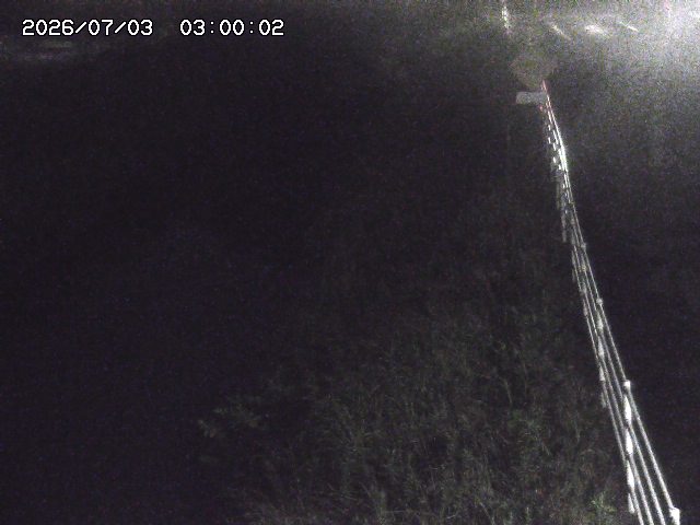 北条川１2026/07/03 8:30:00