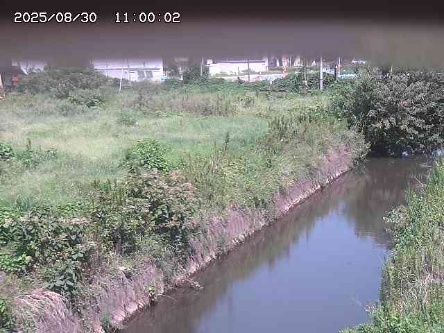 北条川１2025/08/31 9:20:00