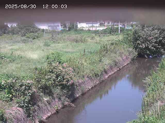 北条川１2025/08/31 9:20:00