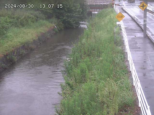 北条川１2025/08/31 9:20:00