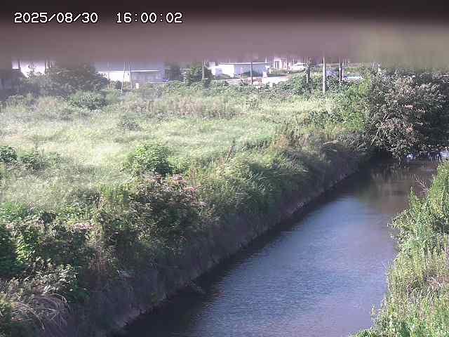 北条川１2025/08/31 9:20:00