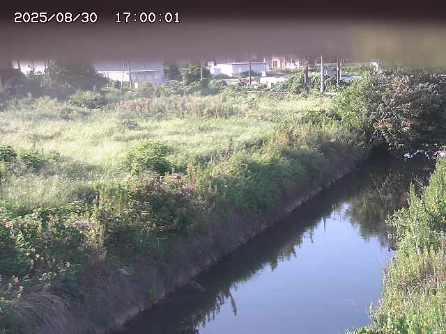 北条川１2025/08/31 9:20:00