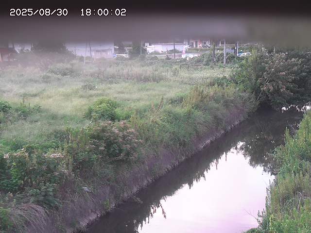 北条川１2025/08/31 9:20:00