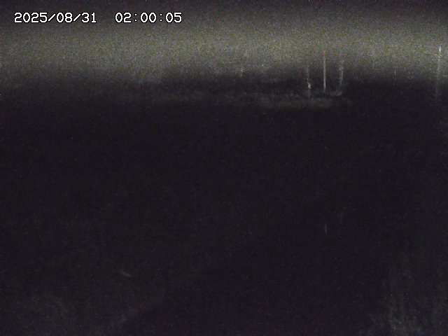 北条川１2025/08/31 9:20:00