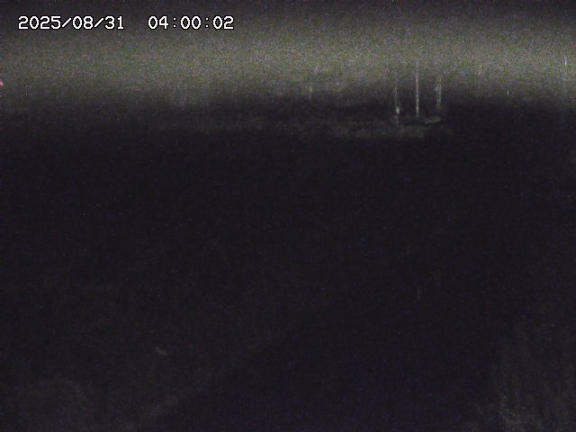 北条川１2025/08/31 9:20:00