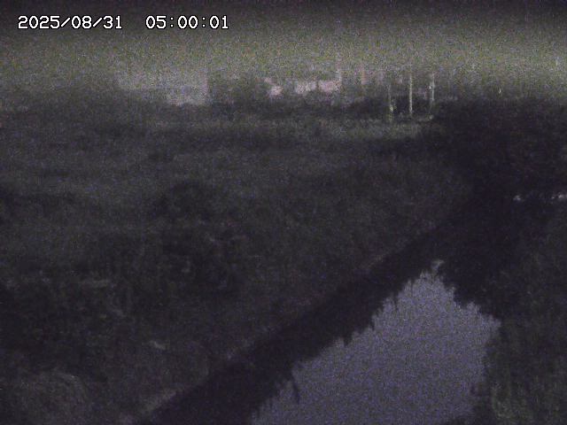 北条川１2025/08/31 9:20:00