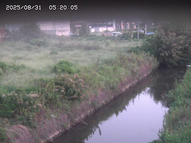 北条川１2025/08/31 9:20:00