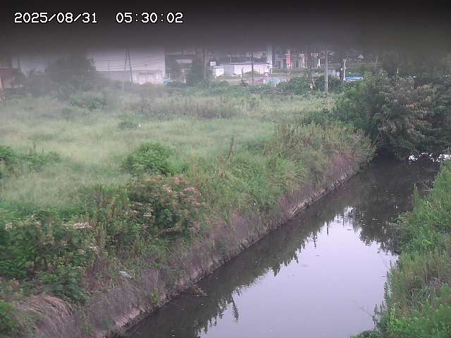 北条川１2025/08/31 9:20:00