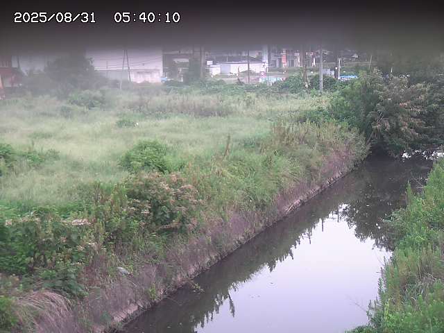 北条川１2025/08/31 9:20:00