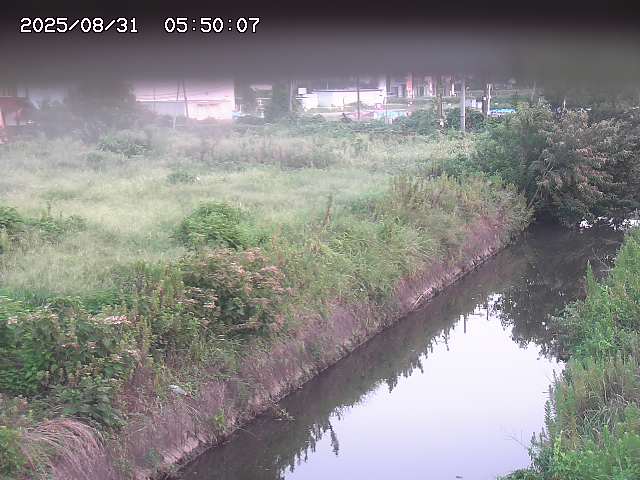 北条川１2025/08/31 9:20:00