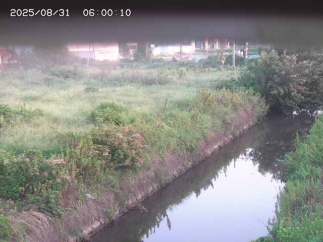 北条川１2025/08/31 9:20:00