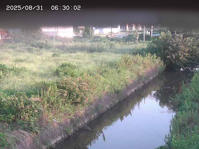 北条川１2025/08/31 9:20:00