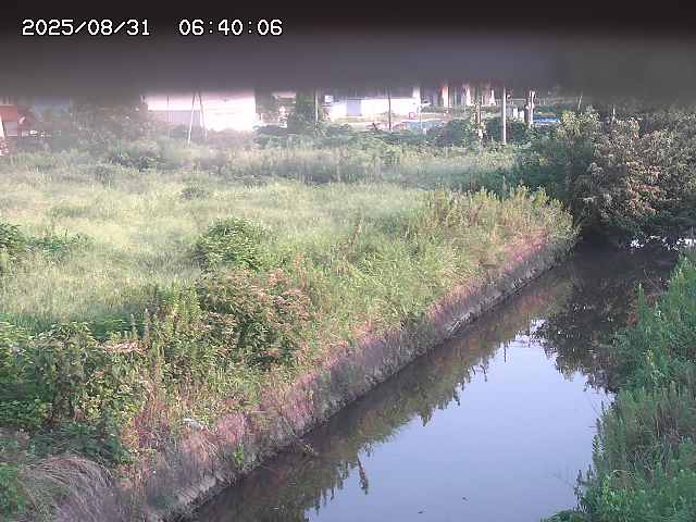 北条川１2025/08/31 9:20:00