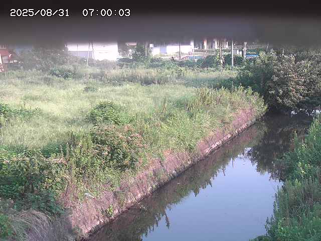 北条川１2025/08/31 9:20:00