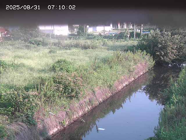 北条川１2025/08/31 9:20:00