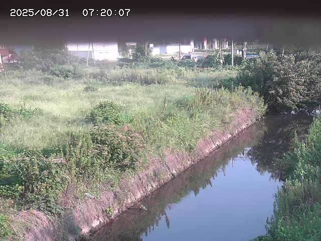 北条川１2025/08/31 9:20:00
