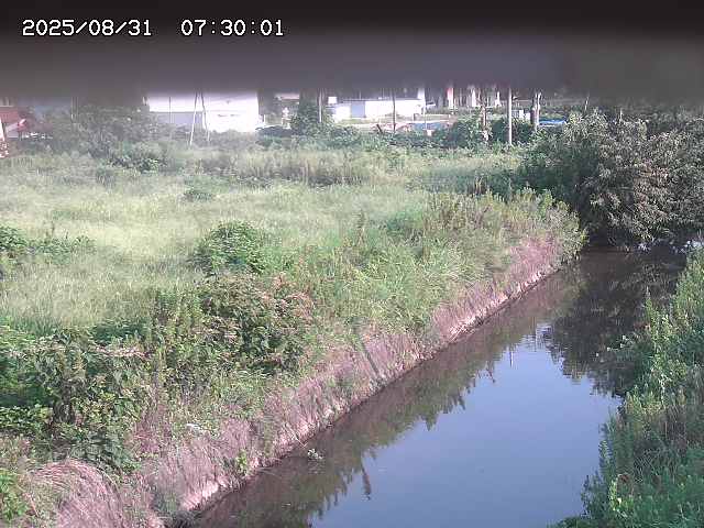 北条川１2025/08/31 9:20:00