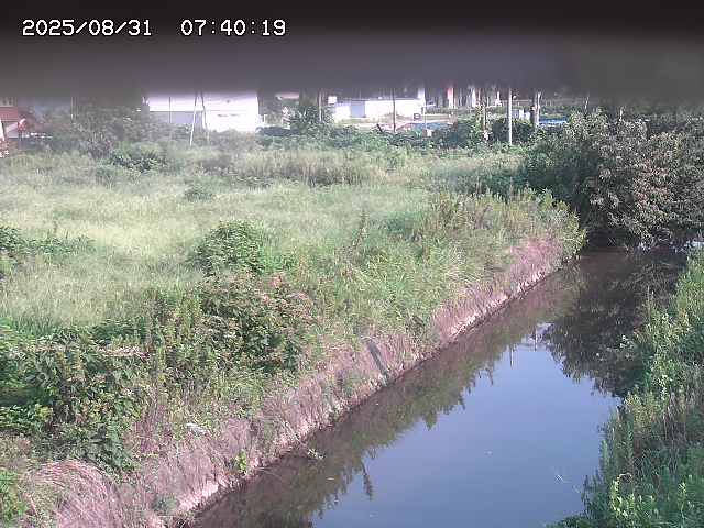 北条川１2025/08/31 9:20:00