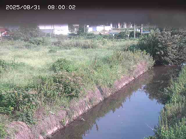 北条川１2025/08/31 9:20:00