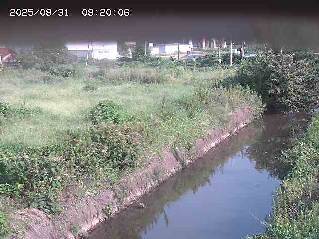 北条川１2025/08/31 9:20:00