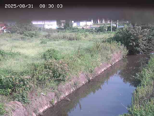 北条川１2025/08/31 9:20:00