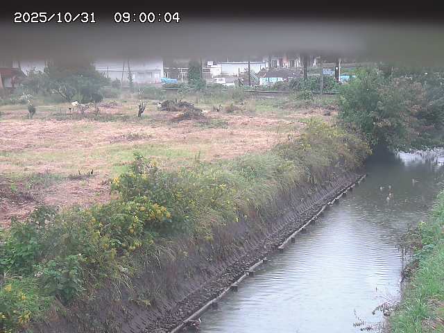 北条川12025/11/01 0:00:00