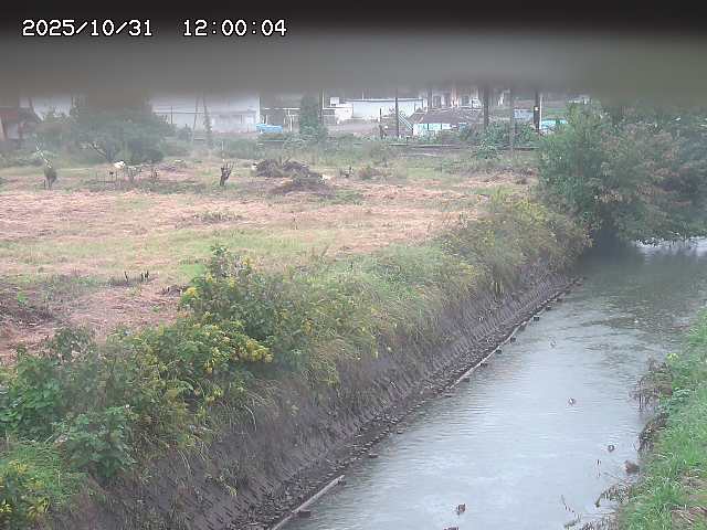 北条川12025/11/01 0:00:00