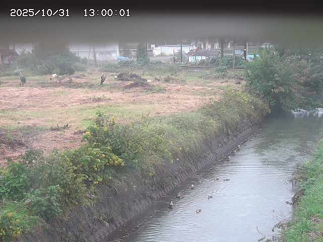 北条川12025/11/01 0:00:00