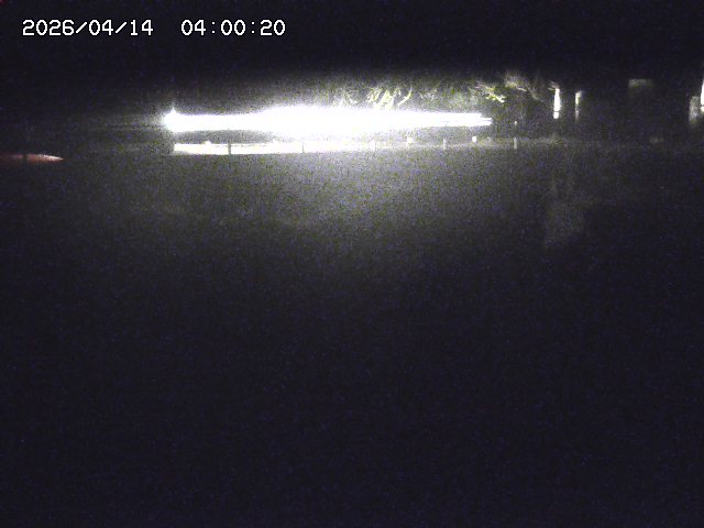 剣見川１2026/04/14 17:10:00