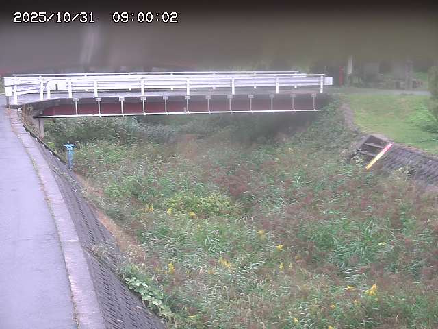 剣見川12025/11/01 0:00:00