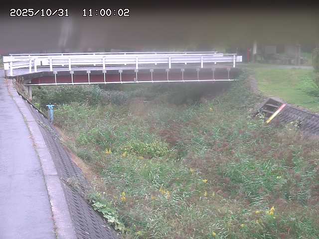 剣見川12025/11/01 0:00:00