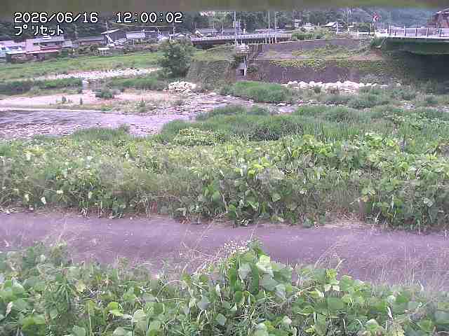 佐治川１2026/06/17 12:10:00
