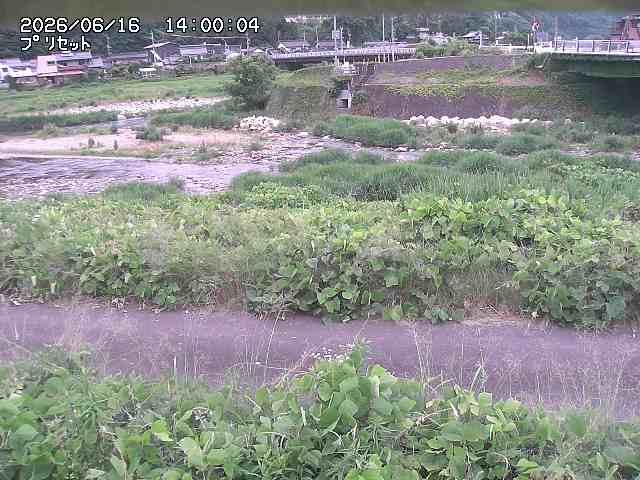 佐治川１2026/06/17 12:10:00