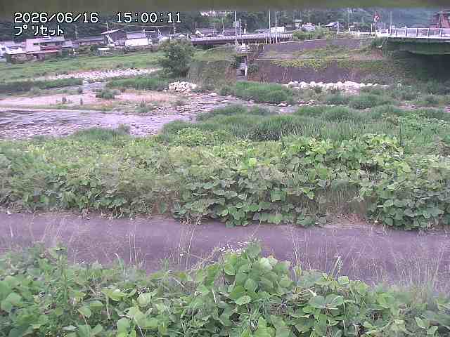 佐治川１2026/06/17 12:10:00