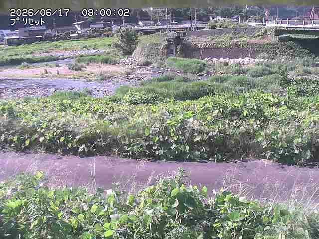 佐治川１2026/06/17 12:10:00