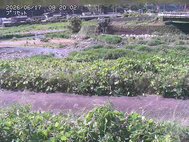 佐治川１2026/06/17 12:10:00