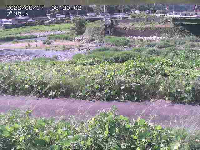 佐治川１2026/06/17 12:10:00
