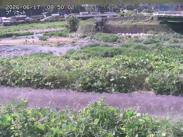 佐治川１2026/06/17 12:10:00