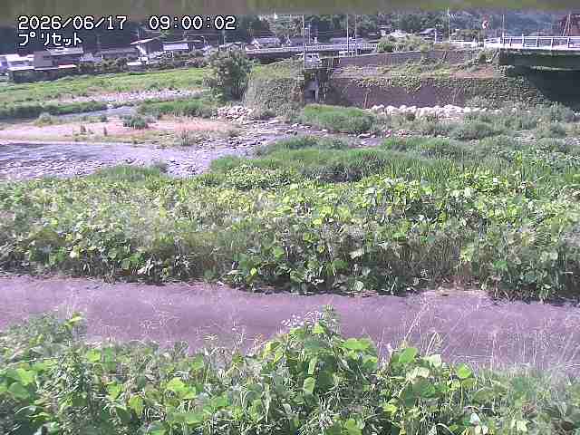 佐治川１2026/06/17 12:10:00