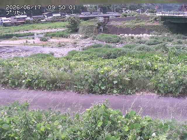 佐治川１2026/06/17 12:10:00