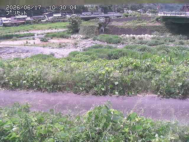 佐治川１2026/06/17 12:10:00